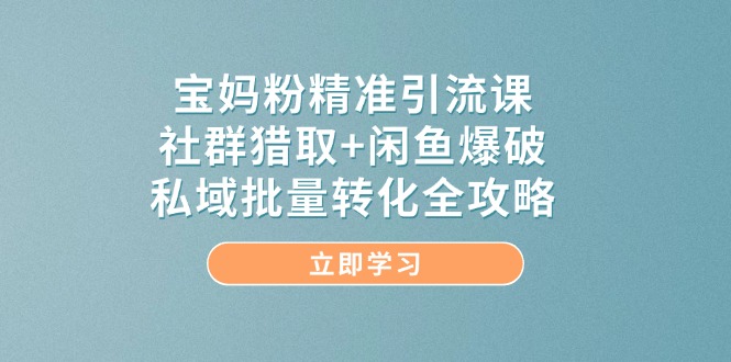 宝妈粉精准引流课，社群猎取+闲鱼爆破，私域批量转化全攻略-AI创作学习-提示词应用-短视频玩法超体AI酒吧