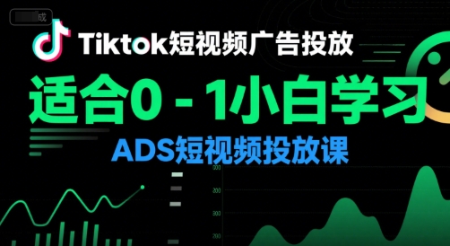 Tiktok：短视频广告投放，适合0-1小白学习ADS短视频投放课-AI创作学习-提示词应用-短视频玩法超体AI酒吧