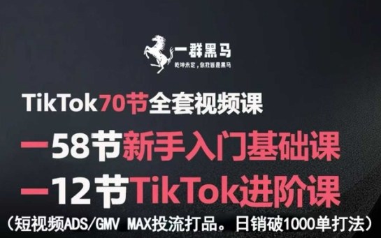 TikTok新手入门+进阶课：短视频ADS-GMV MAX投流打品，日销破1000单-AI创作学习-提示词应用-短视频玩法超体AI酒吧