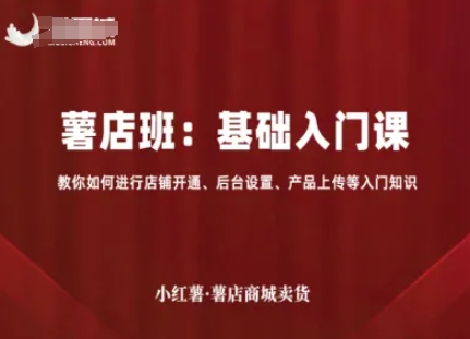 小红书电商：基础入门课+进阶流量课：店铺开通、后台设置、产品上传、选品、引流，卖货-AI创作学习-提示词应用-短视频玩法超体AI酒吧