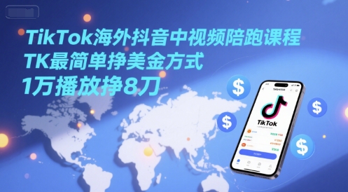 TikTok海外抖音中视频陪跑课程，TK最简单挣美金方式，1万播放挣8刀-AI创作学习-提示词应用-短视频玩法超体AI酒吧