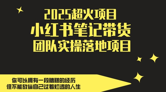 小红书笔记带货：团队实操落地项目，（共计100+节课程）彻底掌握小红书电商-AI创作学习-提示词应用-短视频玩法超体AI酒吧