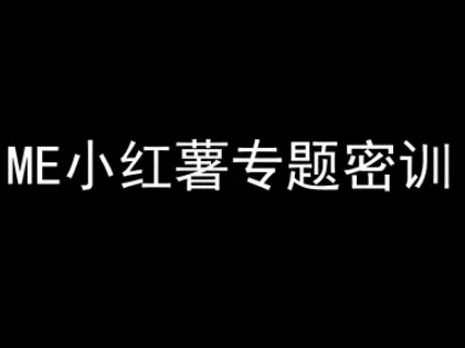 ME小红薯专题密训-小红书电商教程-AI创作学习-提示词应用-短视频玩法超体AI酒吧
