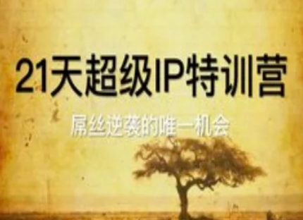 家居家装建材设计行业小红书运营实操系统课程-AI创作学习-提示词应用-短视频玩法超体AI酒吧