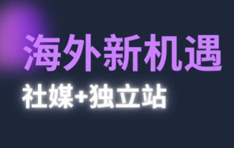 2025出海新机遇(社媒+独立站)，海外新机遇，实现独立站的高效运营与出海-AI创作学习-提示词应用-短视频玩法超体AI酒吧