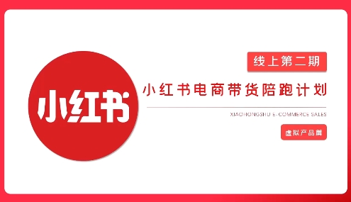小红书虚拟电商实战课，从0到1打造无货源店铺，AI+爆款笔记轻松变现-AI创作学习-提示词应用-短视频玩法超体AI酒吧
