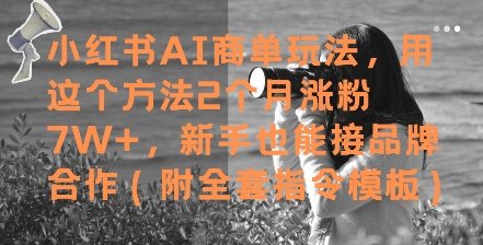 小红书AI商单玩法：2个月涨粉7W+，(附全套指令模板)-AI创作学习-提示词应用-短视频玩法超体AI酒吧
