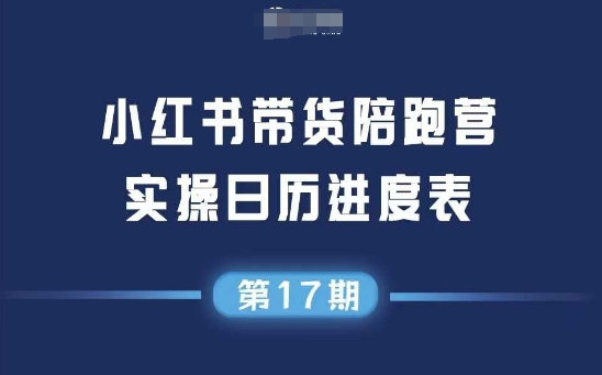 抖音全新短视频带货运营技巧，2025年新课，0到1学习短视频带货全新运营技巧-AI创作学习-提示词应用-短视频玩法超体AI酒吧