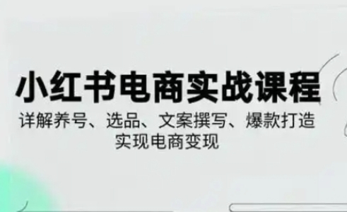 红书从0-1实操课(2023-2025)，详解养号、选品、文案撰写、爆款打造实现电商变现-AI创作学习-提示词应用-短视频玩法超体AI酒吧