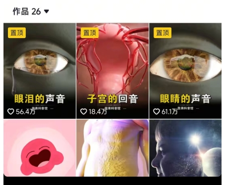 抖音65W博主AI萌宠课程，新赛道流量大，原创+二创，全套课程+提示词