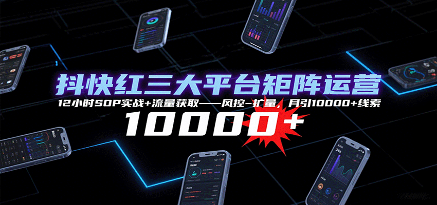 抖快红三大平台矩阵运营，12小时SOP实战+流量获取-风控-扩量，月引10000+线索-AI创作学习-提示词应用-短视频玩法超体AI酒吧