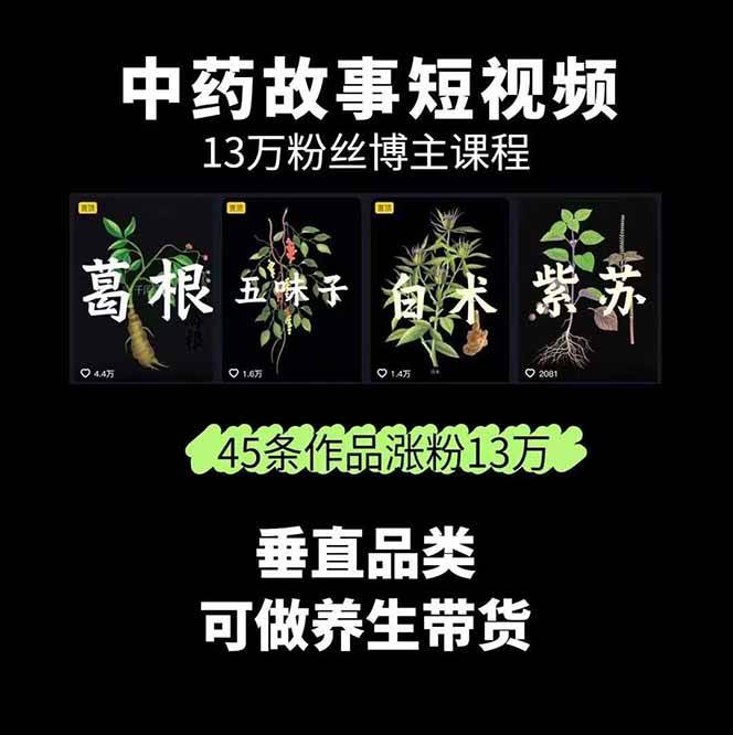 中药文化赛道：溯源故事开发，AI工具实战，平台运营，全方位解锁中医流量变现新路径-AI创作学习-提示词应用-短视频玩法超体AI酒吧