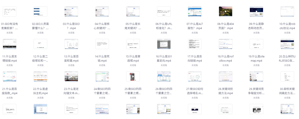零基础SEO优化课程，手把手教你做SEO优化，只讲干货-AI创作学习-提示词应用-短视频玩法超体AI酒吧