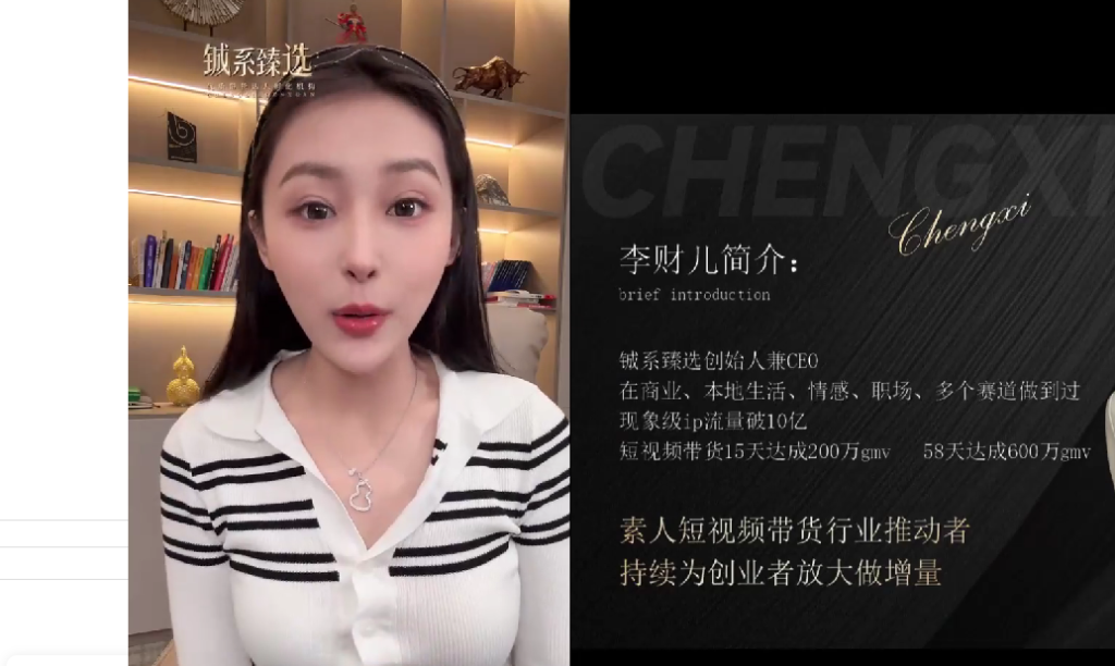 李财儿：短视频带货指南，人设账号搭建，爆款文案创作，表现力速成训练-AI创作学习-提示词应用-短视频玩法超体AI酒吧